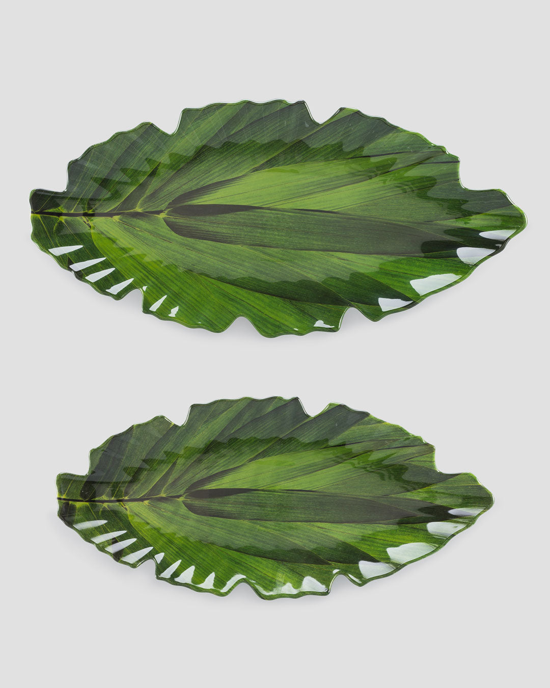 Zen Leaf Green Melamine 2pc Platter Set